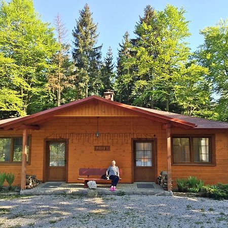Dom Lidia Villa Szklarska Poreba Dış mekan fotoğraf