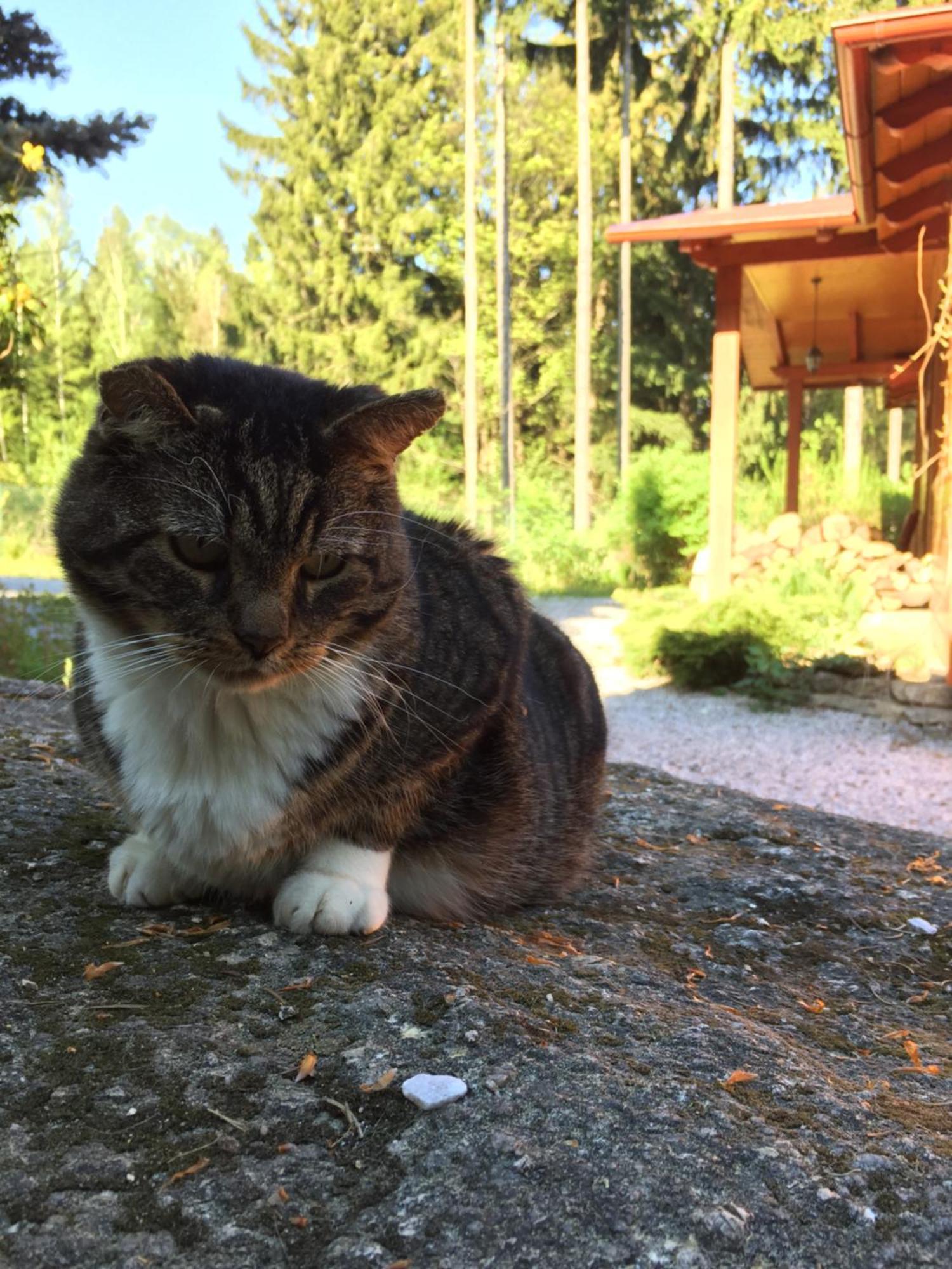 Dom Lidia Villa Szklarska Poreba Oda fotoğraf
