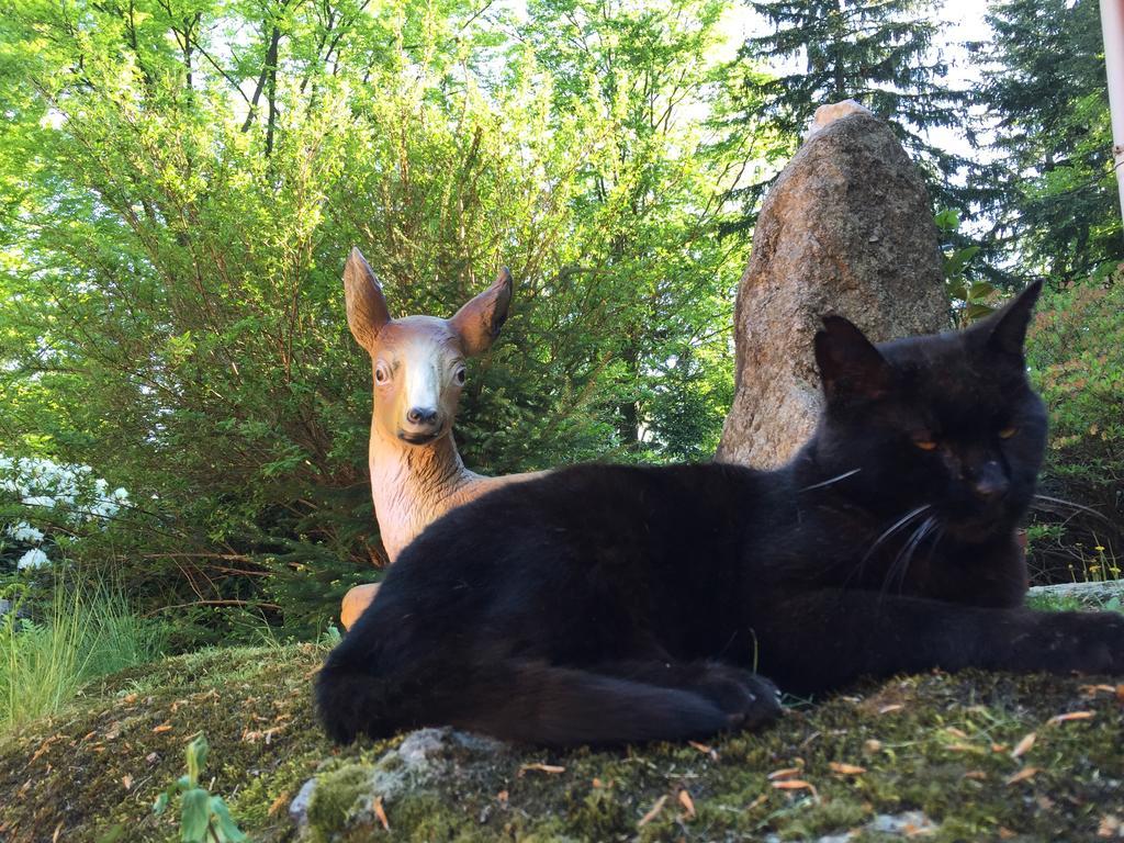 Dom Lidia Villa Szklarska Poreba Dış mekan fotoğraf