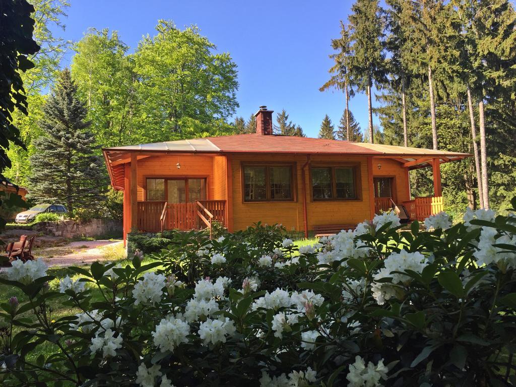 Dom Lidia Villa Szklarska Poreba Dış mekan fotoğraf