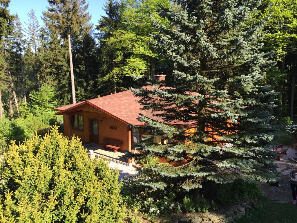 Dom Lidia Villa Szklarska Poreba Dış mekan fotoğraf